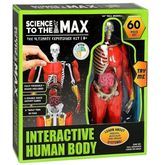 Science to the Max Interactive 14" Human Body. - Picture 1 of 5